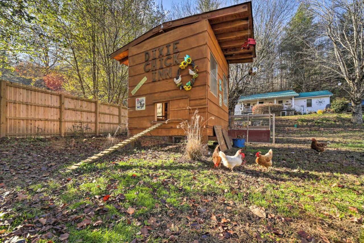Smoky Mountain Vacation Rental With Hot Tub And Kayaks 위티어 외부 사진