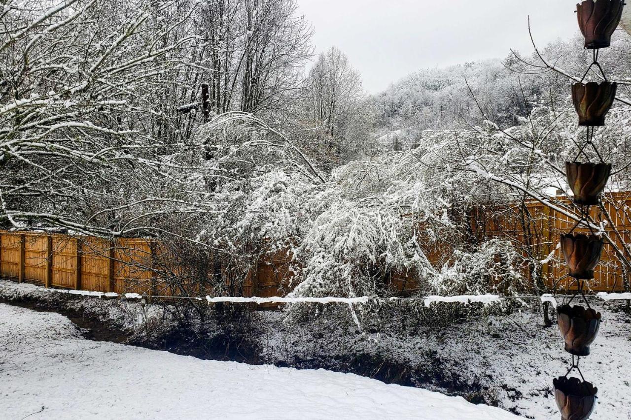 Smoky Mountain Vacation Rental With Hot Tub And Kayaks 위티어 외부 사진